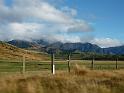 New_Zealand (502)